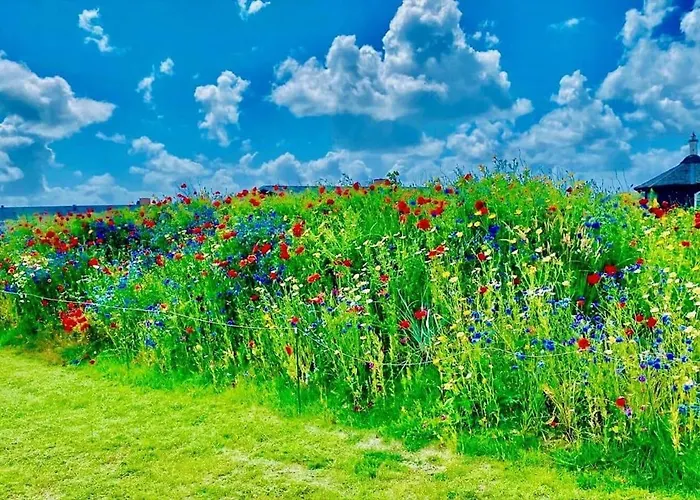 3337-hvide-sande-fyrmarken-77